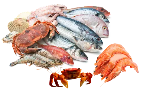 أسماك