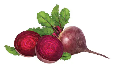 صورة المنتج