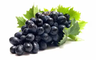 صورة المنتج