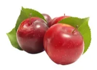 صورة المنتج