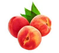 صورة المنتج