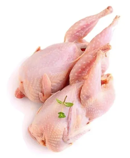 صورة المنتج