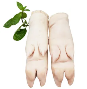 صورة المنتج