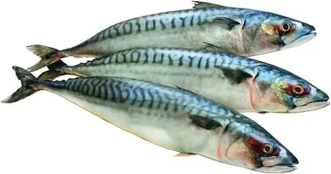 صورة المنتج