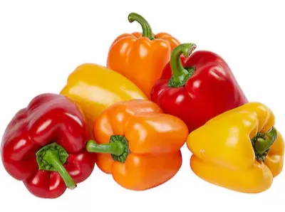 صورة المنتج