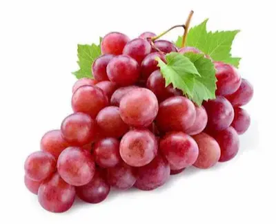 صورة المنتج