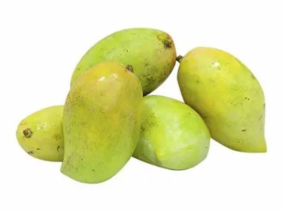 صورة المنتج