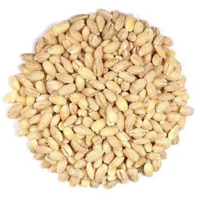 صورة المنتج